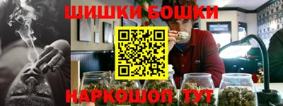 МДПВ Пушкино