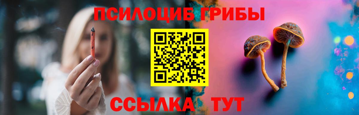 Тосно  Псилоцибиновые грибы прущие грибы  Вход с VPN 